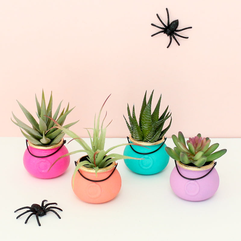 DIY Mini Cauldron Succulent Planters