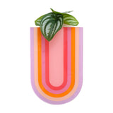 Lavender rainbow arch hanging propagation planter