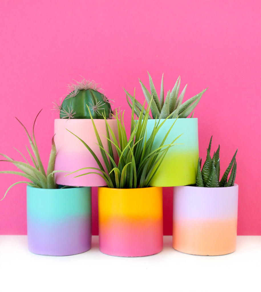 two tone plant pots Two Tone Gradient Cement Planter – Kailo Chic