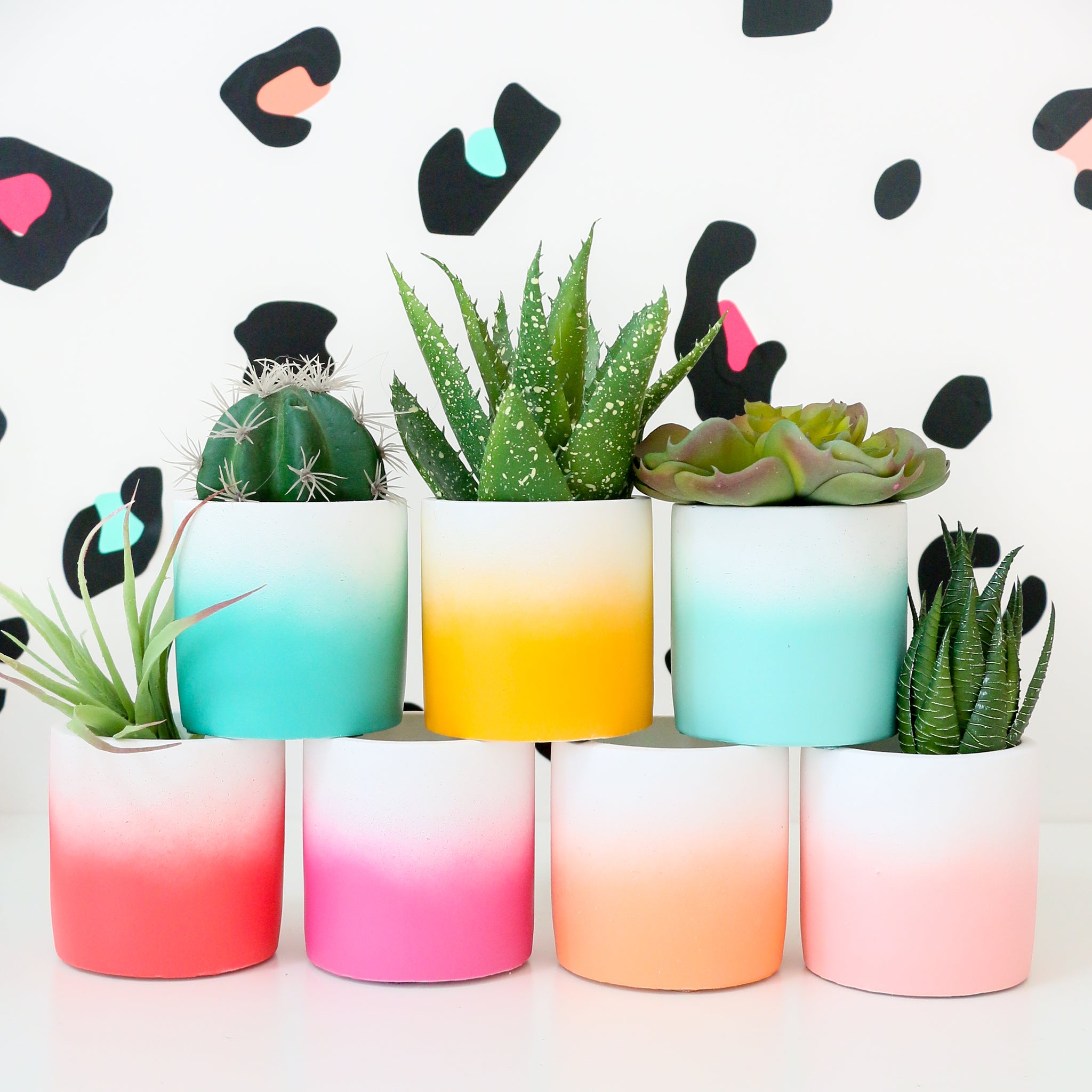 ombre succulent Ombre Cement Planter – Kailo Chic