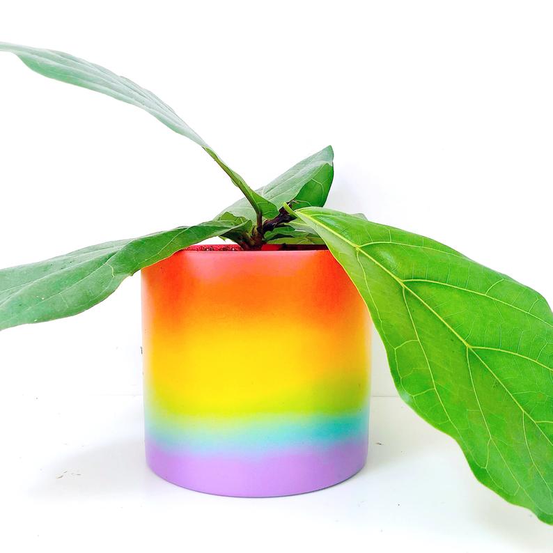 rainbow plant pot outdoor Rainbow Gradient Cement Planter
